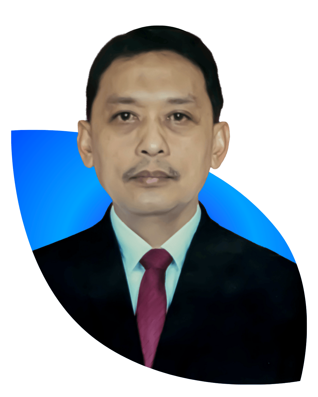 Ir. ANIES WARDHANA, MM